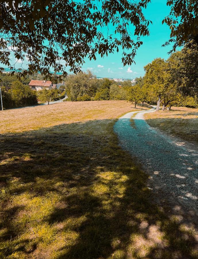 Ruzickuv Dvur Appartement Hranice  Buitenkant foto